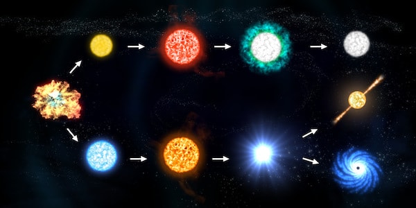Stjärnors livscykel illustrerad